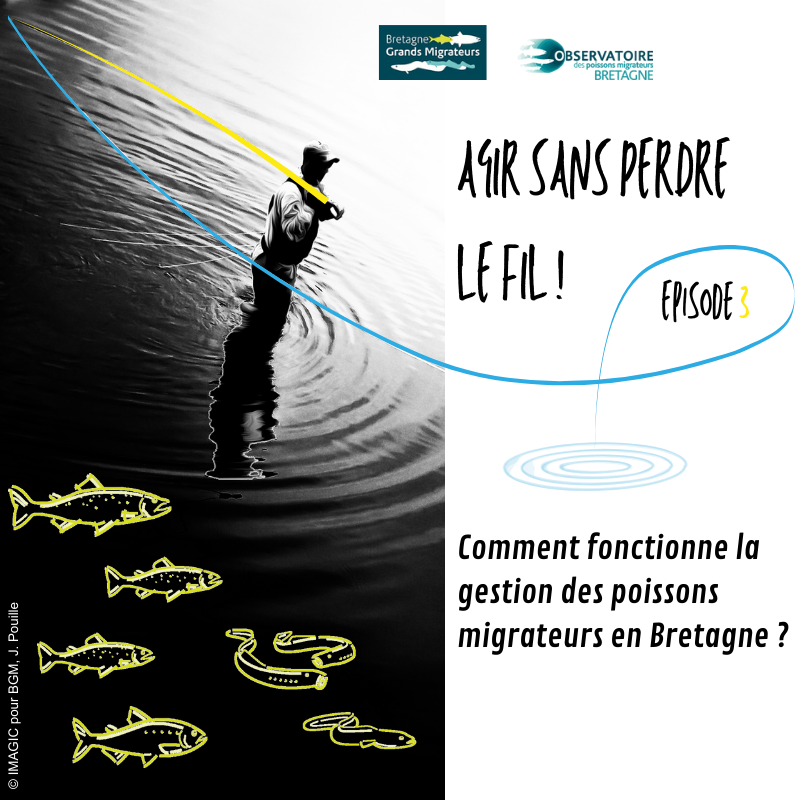 2025 chronique article 1