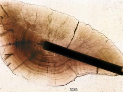actualites 2016 N119