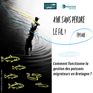 Agir sans perdre le fil ! Article 3 - Comment fonctionne la ... loading=